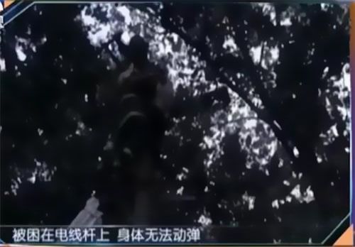 珠江電纜快訊|男子觸電被困，家屬怒斥消防員&ldquo;帶電也得救&rdquo;！